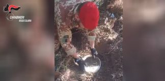 Decine di kg di droga sotterrati nelle campagne, arrestato un 28enne di Gioiosa Ionica