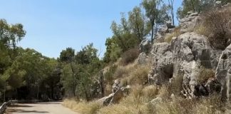Aggiudicati i lavori di messa in sicurezza della “panoramica” di Monte Pellegrino a Palermo