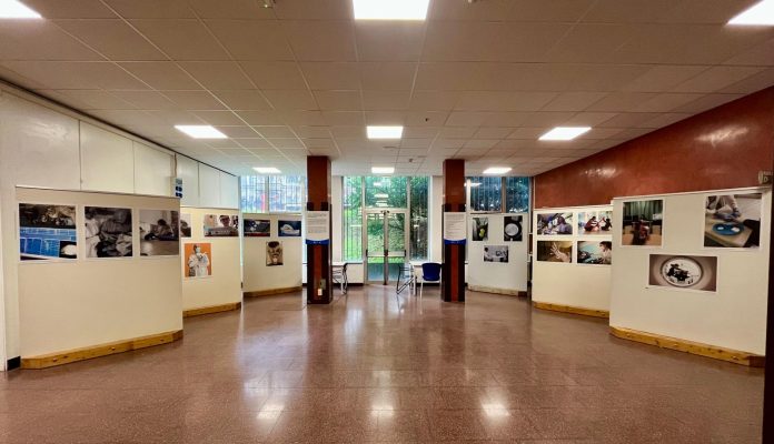 Professioni-sanitarie-Lombardia