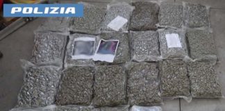 Scoperto a Catania un deposito di droga con 30kg di marijuana, un arresto