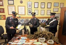 Aveva trasformato la casa in un punto di smercio al dettaglio di hashish e marijuana: arrestato 36enne nell’Astigiano