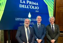 Confagricoltura, Carapelli e Unapol insieme per rilanciare il ruolo dei giovani nel mondo dell’olio