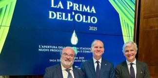 Confagricoltura, Carapelli e Unapol insieme per rilanciare il ruolo dei giovani nel mondo dell’olio
