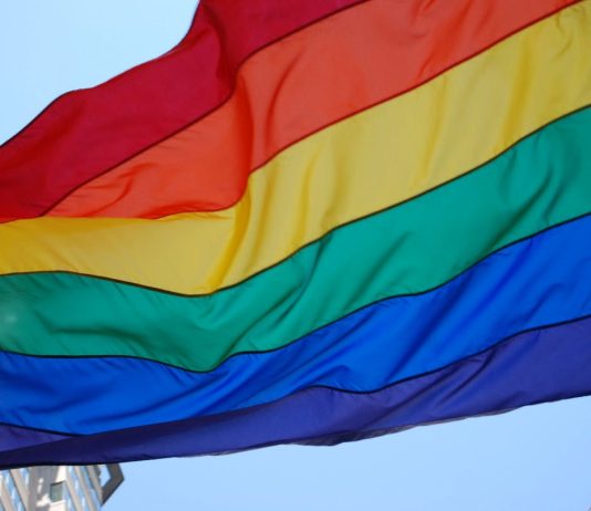 Bandiera della pace: colore, storia e significato bandiera della pace