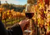 Vino italiano: tra crescita dell’export e nuove sfide calice vino rosso vigneto