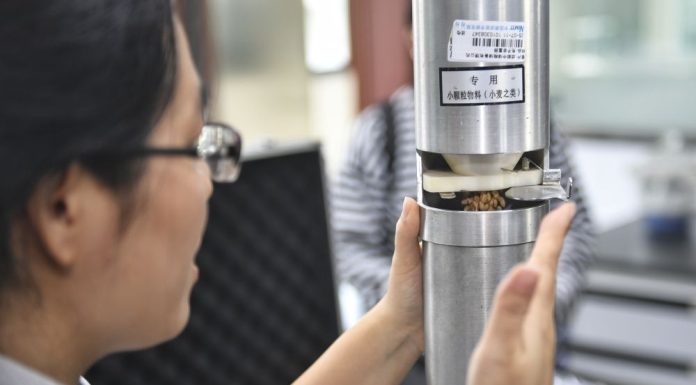 Cina: a Chengdu tecnologie avanzate per stoccaggio grano (2)