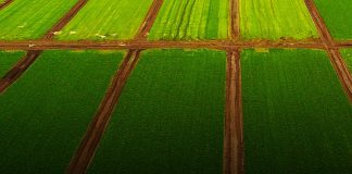 DRI acquisisce da DCH due impianti agrivoltaici in Puglia e Molise