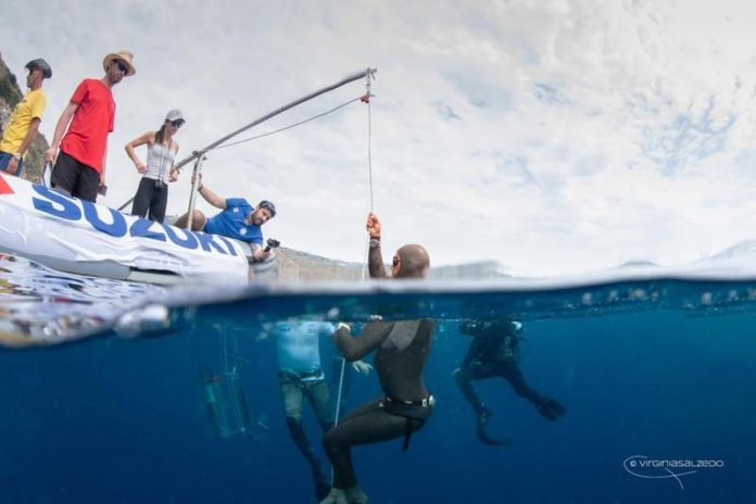 Giochi del mare Suzuki