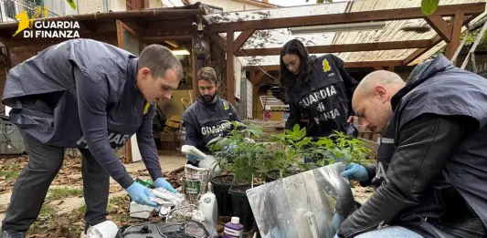Coltivavano marijuana in casa e in giardino, in provincia di Perugia arrestati un uomo e una donna
