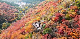 Cina: le immagini dello scenario autunnale nel Paese (1)