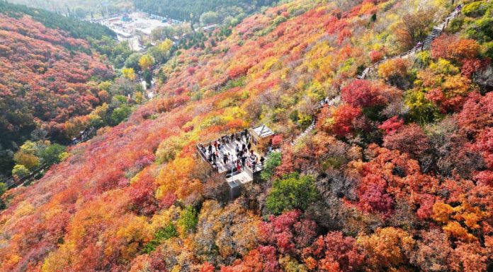 Cina: le immagini dello scenario autunnale nel Paese (1)