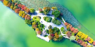 Cina: le immagini dello scenario autunnale nel Paese (3)