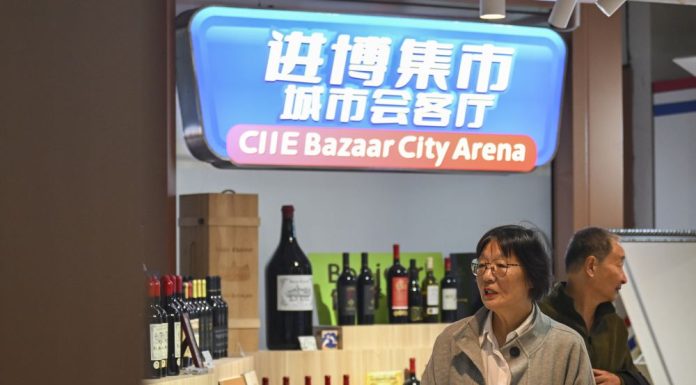 Cina: la CIIE Bazar City Arena a Shanghai (1)