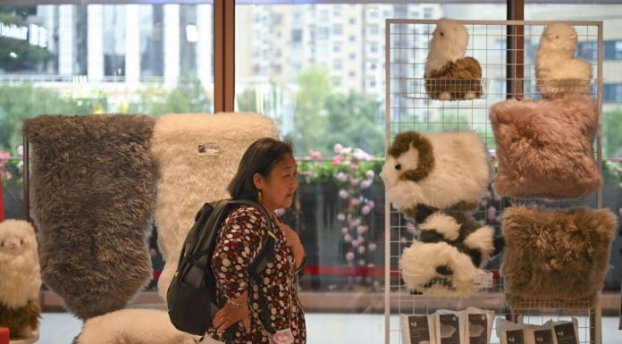 Cina: la CIIE Bazar City Arena a Shanghai (2)