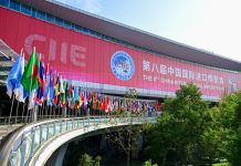 Cina: conclusa l’ottava edizione della CIIE a Shanghai (1)