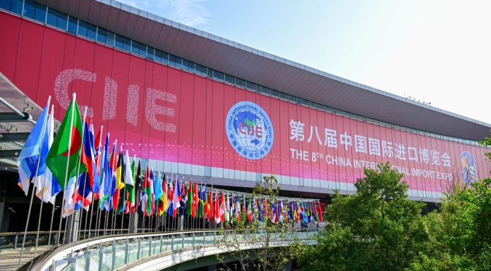 Cina: conclusa l’ottava edizione della CIIE a Shanghai (1)