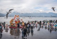 Cina: turisti visitano diga di Haigeng per ammirare gabbiani da testa nera (2)