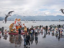 Cina: turisti visitano diga di Haigeng per ammirare gabbiani da testa nera (2)