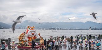 Cina: turisti visitano diga di Haigeng per ammirare gabbiani da testa nera (2)