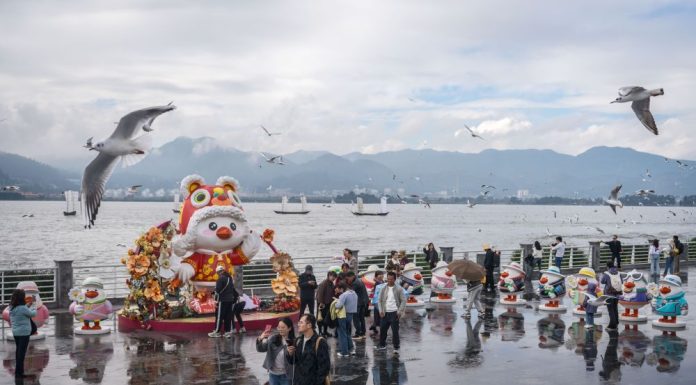 Cina: turisti visitano diga di Haigeng per ammirare gabbiani da testa nera (2)
