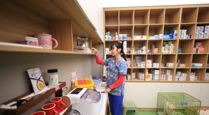 Cina: Anshan sviluppa l’industria degli animali domestici (1)