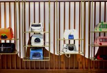 Cina: Anshan sviluppa l’industria degli animali domestici (2)