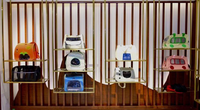 Cina: Anshan sviluppa l’industria degli animali domestici (2)