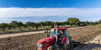Cina: seminato 70% del grano invernale in tutto Paese (2)