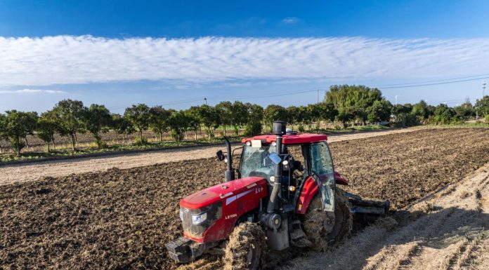 Cina: seminato 70% del grano invernale in tutto Paese (2)