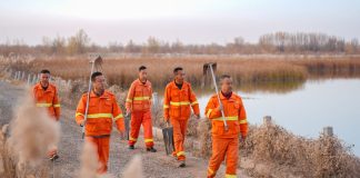 Cina: Ningxia, zona umida Tianhewan diventa rifugio per uccelli migratori (1)