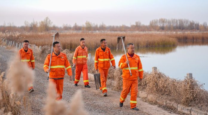 Cina: Ningxia, zona umida Tianhewan diventa rifugio per uccelli migratori (1)