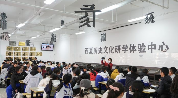 Cina: studenti scoprono storia e patrimonio Tombe Imperiali Xixia a Yinchuan (1)