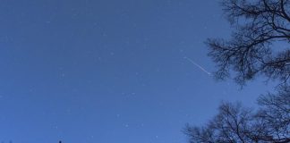 Cina: lo sciame meteorico delle Leonidi illumina il cielo in Heilongjiang (3)