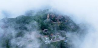 Cina: la copertura forestale dei prati di Pingliang raggiunge il 46,07% (1)