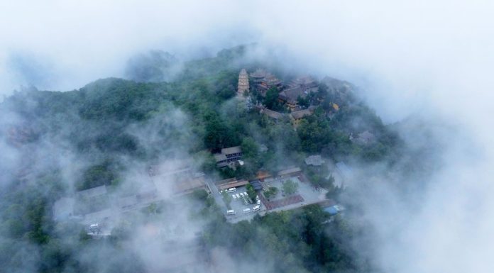 Cina: la copertura forestale dei prati di Pingliang raggiunge il 46,07% (1)