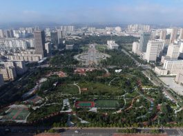 Cina: la copertura forestale dei prati di Pingliang raggiunge il 46,07% (3)