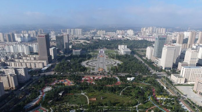 Cina: la copertura forestale dei prati di Pingliang raggiunge il 46,07% (3)