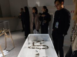 Cina: al via Biennale di Gioielleria Contemporanea di Puyuan (3)