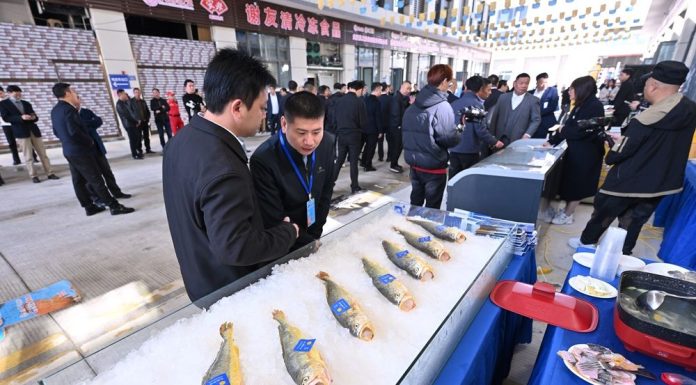 Cina: Ningde punta sull’industria della ricciola gialla (1)