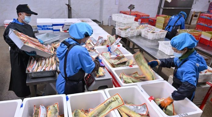 Cina: Ningde punta sull’industria della ricciola gialla (2)