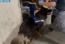 Arrestato spacciatore catanese con 4,5 kg di droga nascosta in garage