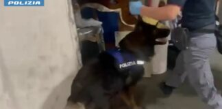 Arrestato spacciatore catanese con 4,5 kg di droga nascosta in garage