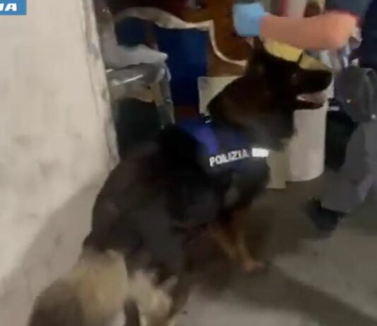 Arrestato spacciatore catanese con 4,5 kg di droga nascosta in garage