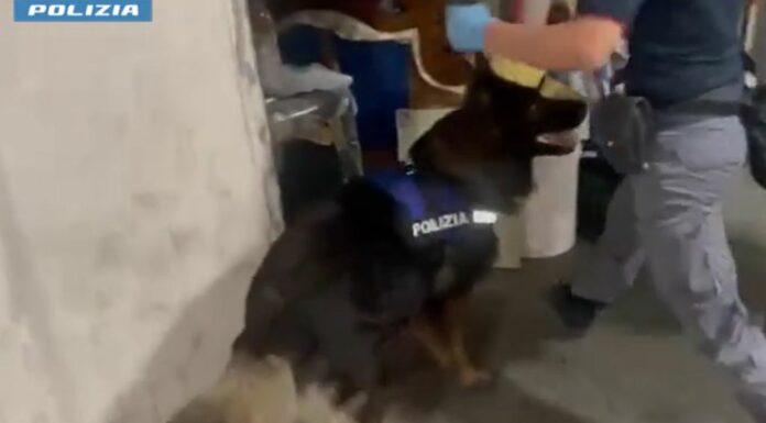 Arrestato spacciatore catanese con 4,5 kg di droga nascosta in garage