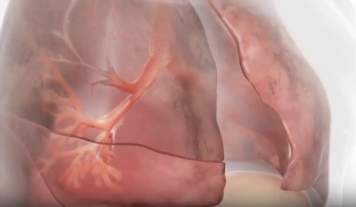 geronimo it intitolata-ad-amedeo-montemaggi-la-rotonda-in-piazzale-cesare-battisti-corso-giovanni-xxiii-A33898 012