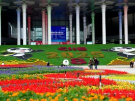 Cina: arrivati a Shanghai i prodotti in esposizione nell’ottava CIIE