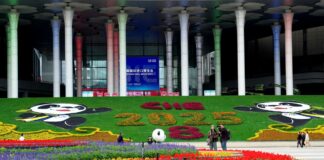 Cina: arrivati a Shanghai i prodotti in esposizione nell’ottava CIIE