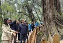 Cina-Italia: Strada per Shu e Via Appia, dialogo attraverso montagne e mari