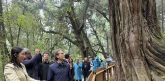 Cina-Italia: Strada per Shu e Via Appia, dialogo tra civiltà attraverso montagne e mari