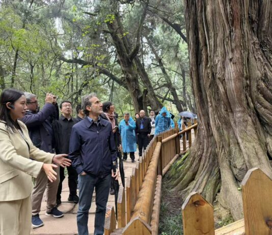 Cina-Italia: Strada per Shu e Via Appia, dialogo tra civiltà attraverso montagne e mari